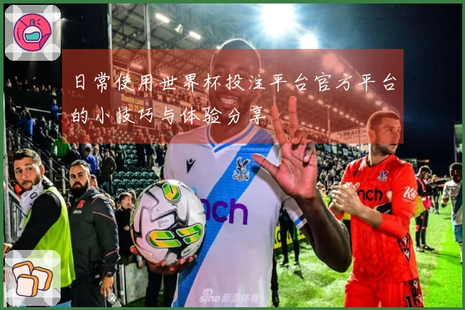 日常使用世界杯投注平台官方平台的小技巧与体验分享