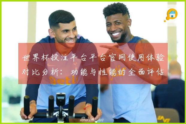 世界杯投注平台平台官网使用体验对比分析:功能与性能的全面评估