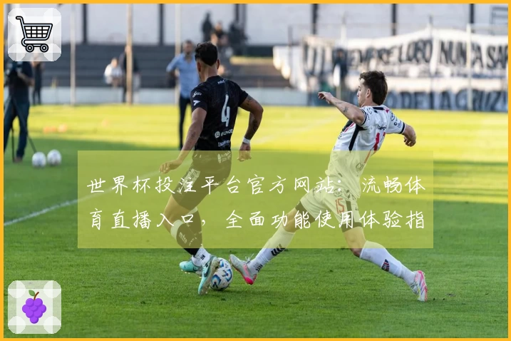 世界杯投注平台官方网站：流畅体育直播入口，全面功能使用体验指南
