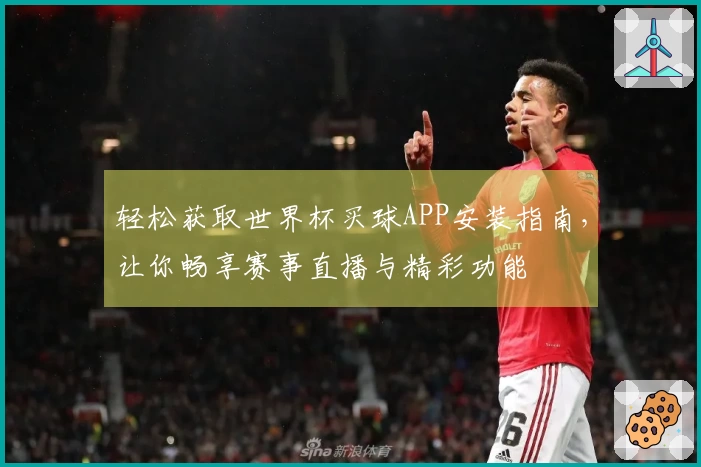 轻松获取世界杯买球APP安装指南，让你畅享赛事直播与精彩功能