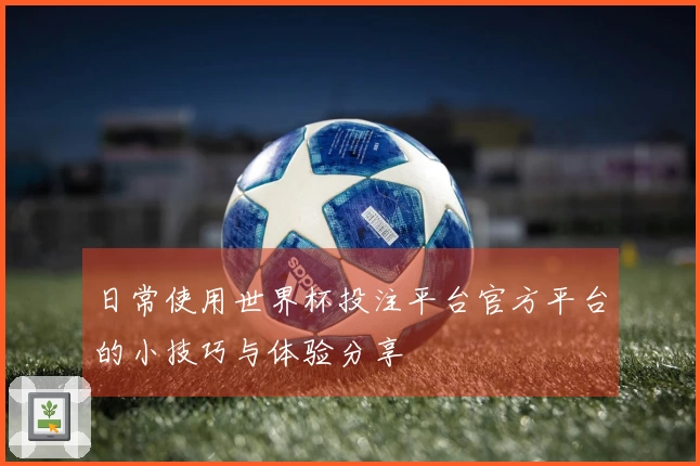 日常使用世界杯投注平台官方平台的小技巧与体验分享