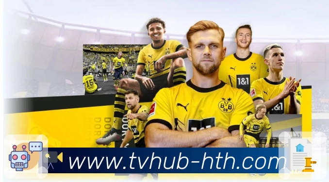 华体会入口优化